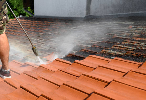 Best Local Pressure Washing Services  in Severna Park, MD